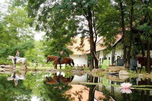 Kunbaracs Hotel | Hunor Lovastanya