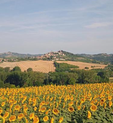 Montiglio Monferrato Bed & Breakfast | Il Casale