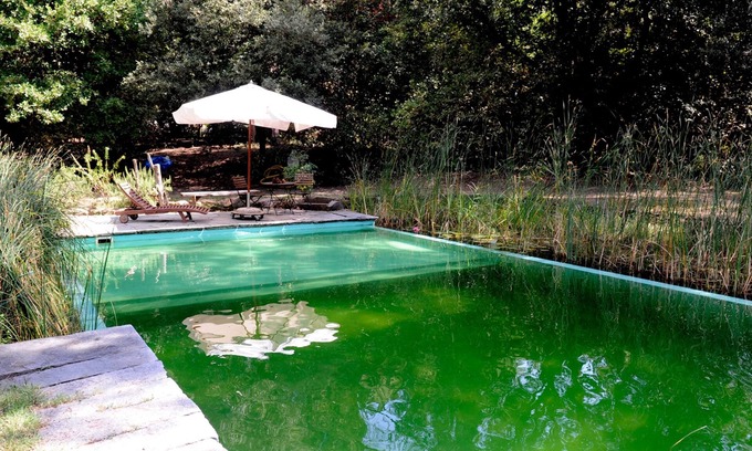 Scandicci Bed & Breakfast | Il Poggio B&B