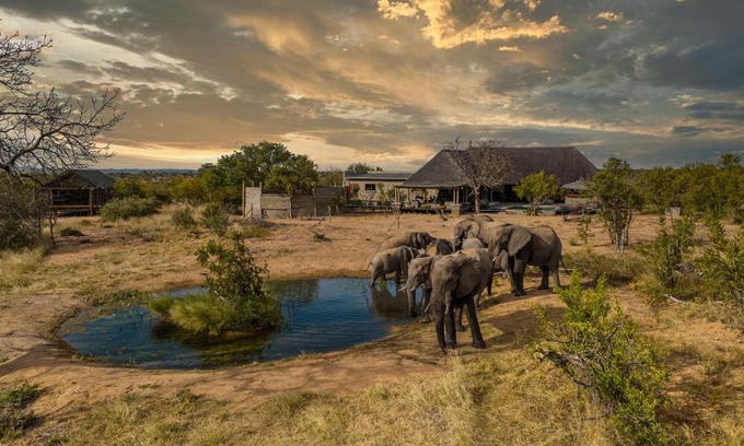 Hoedspruit Cabin | Imagine Africa Luxury Tented Camp