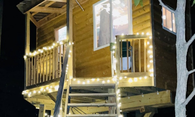Brooklyn Cabin | Immerse yourself with nature at this unique living tree-treehouse!