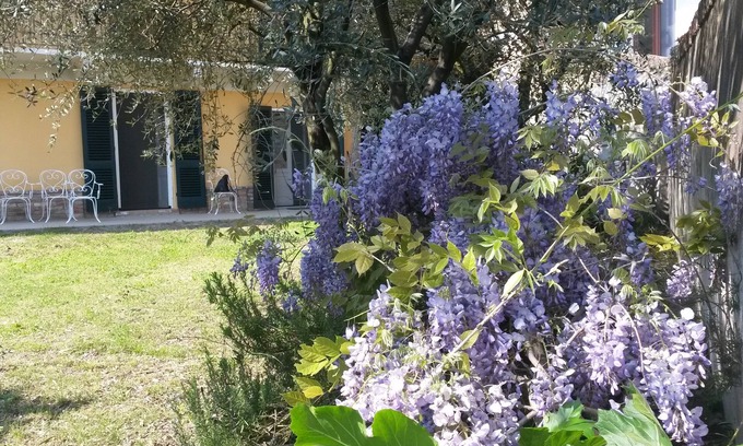 Casalborgone House | Immersed in the green relaxation of an authentic farmhouse and convenient to services