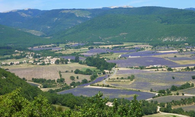Lardiers Apartment | In the land of lavender, at the foot of the Lure mountain
