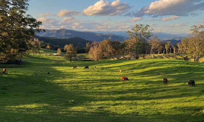 Innes View Cottage | 'Infinity Cottage' - surrounded by orchards, pasture, bush and mountains