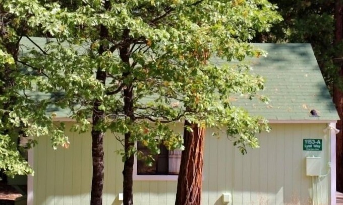 Foresta Cabin | INSIDE YOSEMITE! Ten minutes from Yosemite Valley. SUMMER/FALL openings!