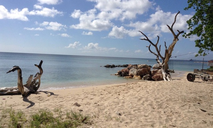 Ashton Hall Apartment | Intimate Heywoods beach property with a flowering garden