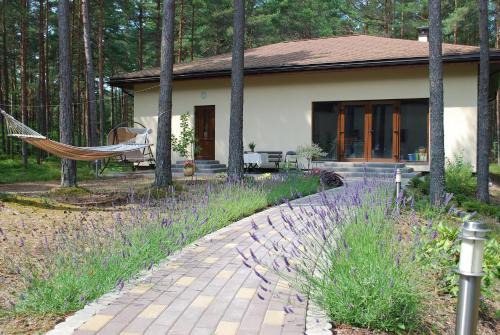 Engure Apartment | Jūrmalas Priedes