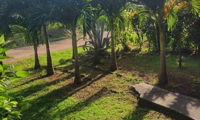 Calibishie Apartment | Jacoway Inn Gardenia Studio - open garden view, peace, privacy and relaxation