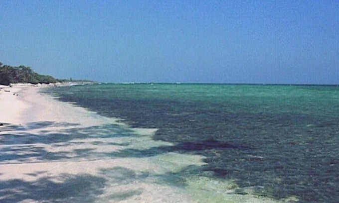Salt Marsh House | Jamaican Villa with Driver Included