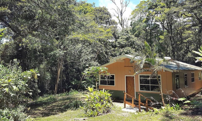Monteverde House | Jardín del Bosque Para Disfrutar la Naturaleza