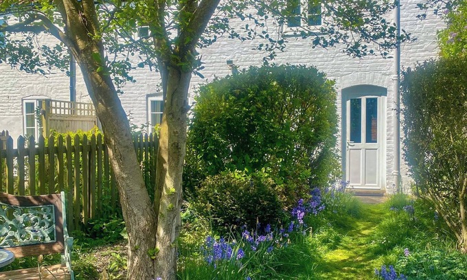 Mundesley Cottage | Jenny's Cottage 27553