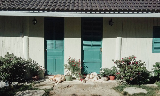 Da Lat Cottage | Jevis Au Village - Deluxe Cottage 1