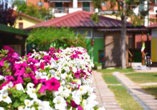 Mazzorno Sinistro Apartment | Jolanda Vacanze