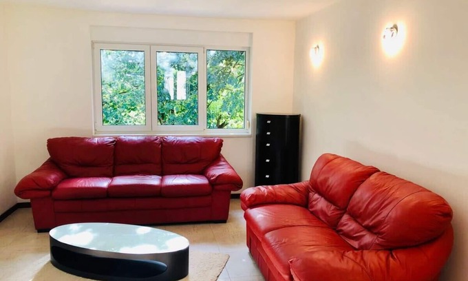 Old City Apartment | Joy City Stay George Enescu 12