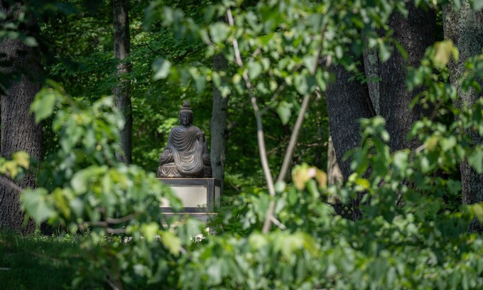 Oak Hill House | Joy Cottage - 3 Bedroom/3 Bath - Waterfront Property on Buddhist Temple Grounds