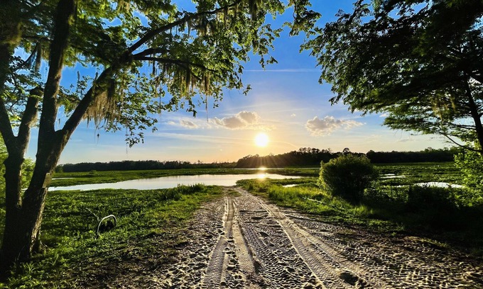 Edgar Cabin | Juanita’s Cabin , a Peaceful cabin in Central Florida. IG:@JUANITASCABIN