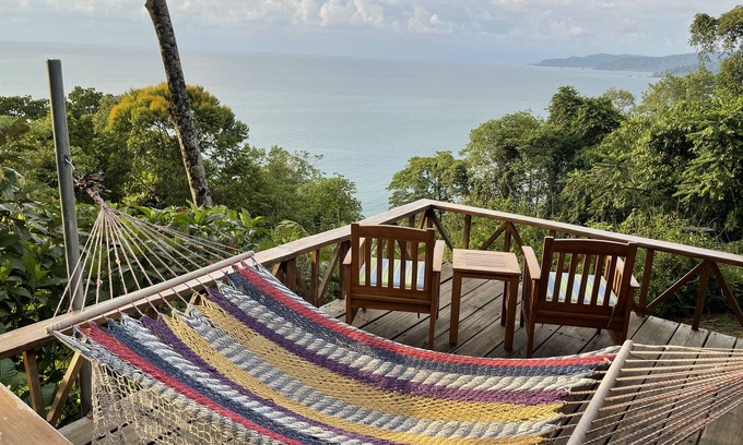 Palma House | Jungle by the Sea