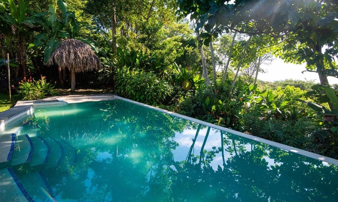 Cabuya Cabin | Jungle Lodge at Wild Sun Rescue