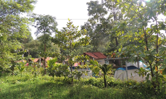 Supa Hotel | Jungle Nest Homestay
