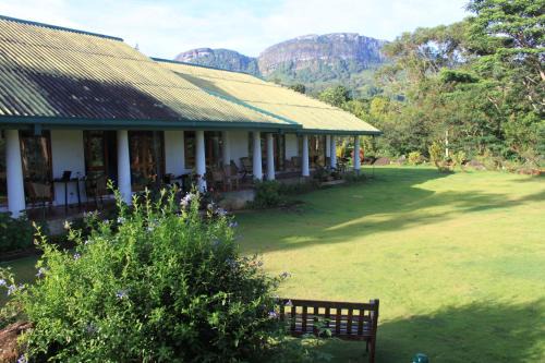 Moragolla Bed & Breakfast | Jungle Tide