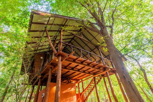 Attikulama Resort | Kaala Kalaththewa Luxury Eco Resort
