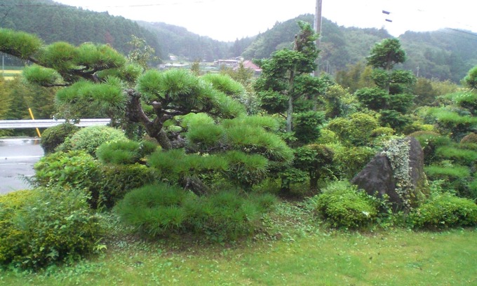 Nakagawa Apartment | Kakinouen