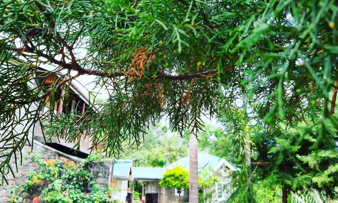 Beragala House | Kallycave Eco Lodge