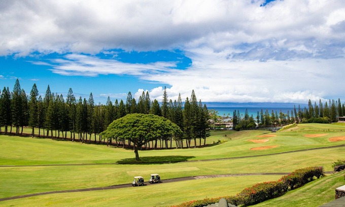 Kapalua Condo | Kapalua Golf Villa 15T2 - Remodeled 1BD with Coastal Vibes!