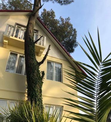 Ureki Villa | Kaprovani Villa 22