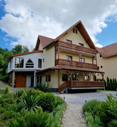 Sovata Bed & Breakfast | Karina panzio
