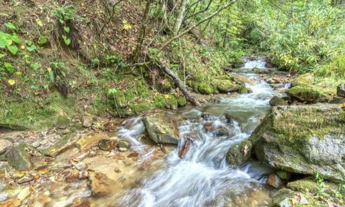 Cataloochee Ranch House | Keaton Creekside Cottage - Cozy, Charming, Incredible Location In Maggie Valley