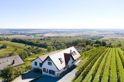 Eisenberg an der Pinka House | Kellerstöckl Weinblick I und II
