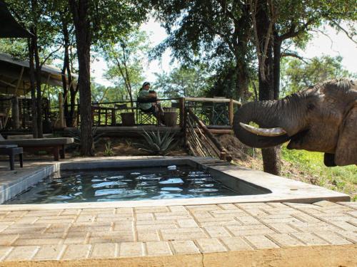 Phalaborwa Other | Khanya Conservation Camp