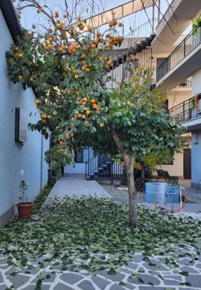Gori House | KHORGO