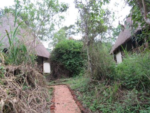 Kibale Hotel | Kibale Forest Cottages And Campsite