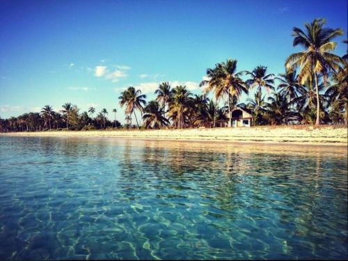 Kilwa Cabin | Kilwa Beach Lodge
