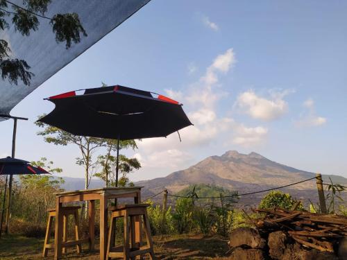 Kedisan Other | Kintamani Adventures 'Hide in Nature lodge'