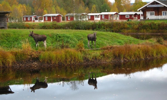 Stollet Other | Klarälvens Camping