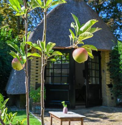 Municipality of Zutphen Bed & Breakfast | Kleine Buur