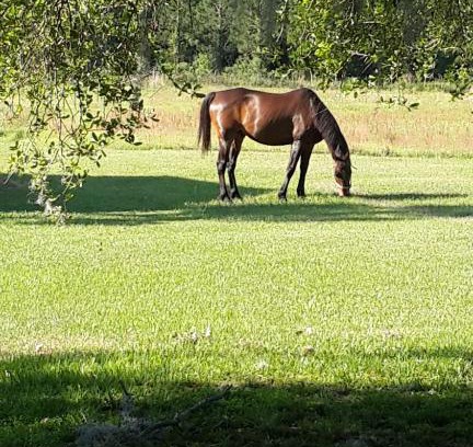 Live Oak House | Kokomo Farms