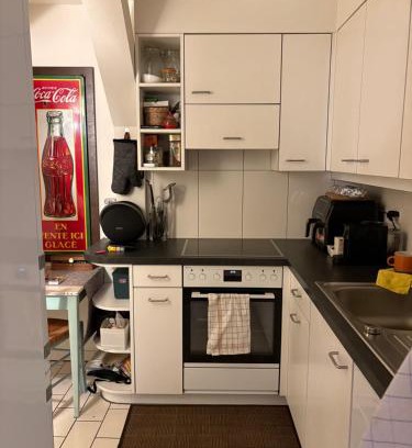 Basel City Centre Apartment | Kolaj
