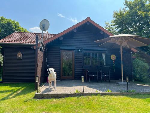 Neufeld House | Lüttje Koje