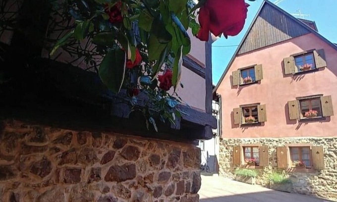 Eguisheim Apartment | L'Alsacienne - cosy gite