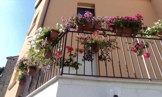 Montecilfone House | la casa dei fiori