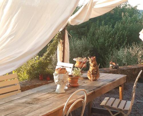 Monsummano Terme House | La Casa del Maestro