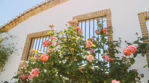 Cijuela House | La Casita de Elpida By Alma Sur Rentals