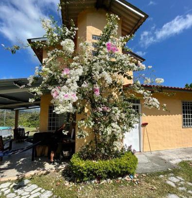 El Palmar Ski Chalet | La Cima del Cielo