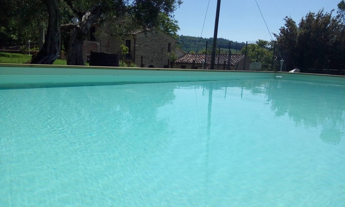 Montelovesco Apartment | La Collina degli Ulivi (Short Lets/Summer Rentals): Cotoneaster Apartment