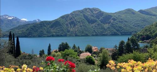 Azzano Apartment | La Dolce Vista