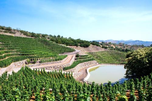 Presa House | La Gelsomina - Etna